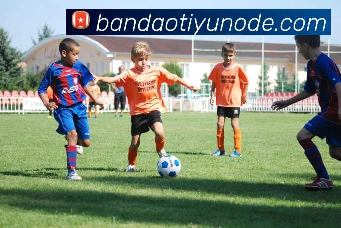 半岛体育平台生态图