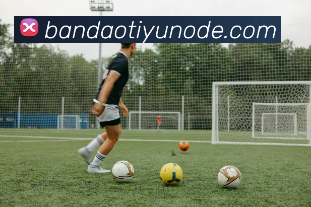 半岛体育APP 封面图